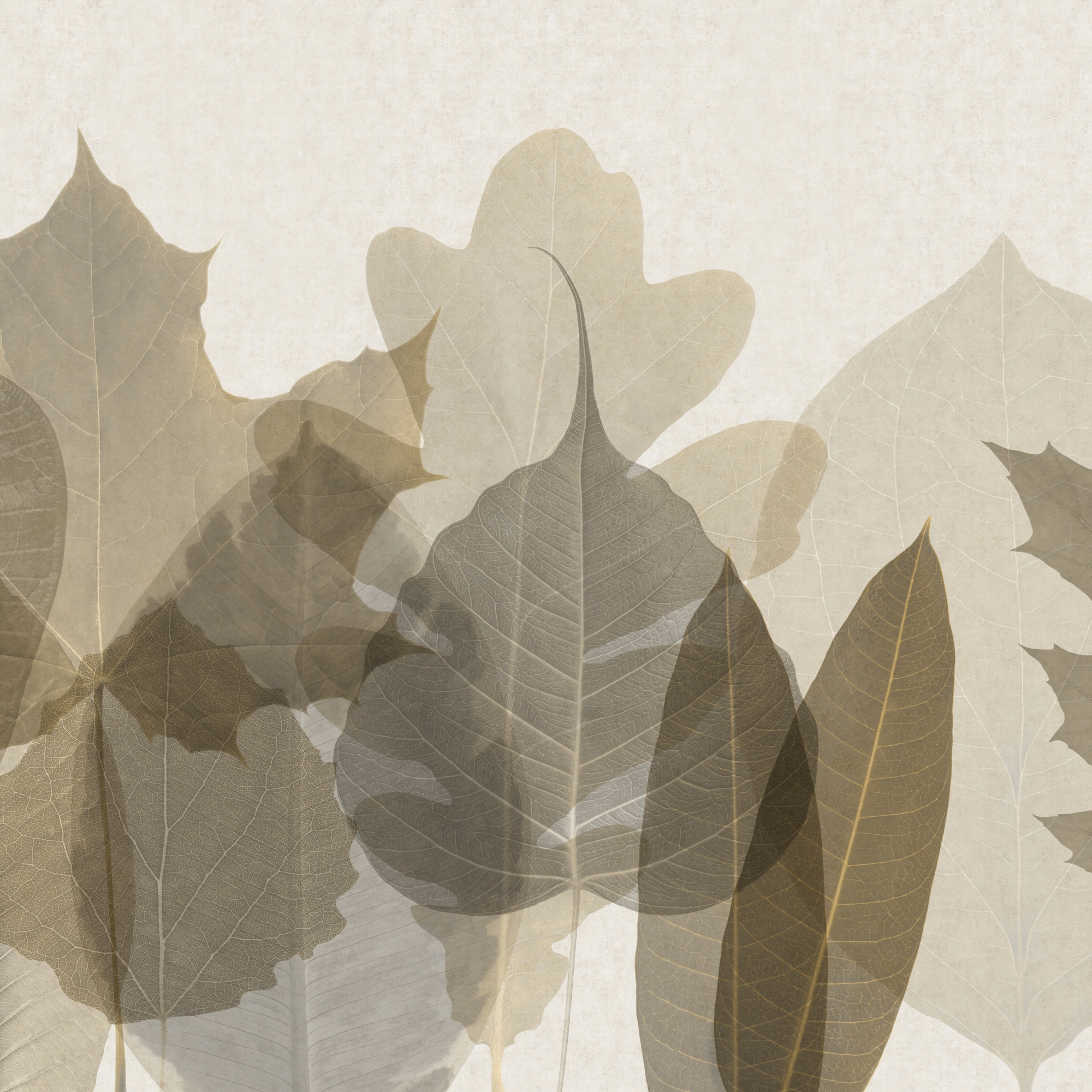 Display product Greenwood from manufacturer GLAMORA