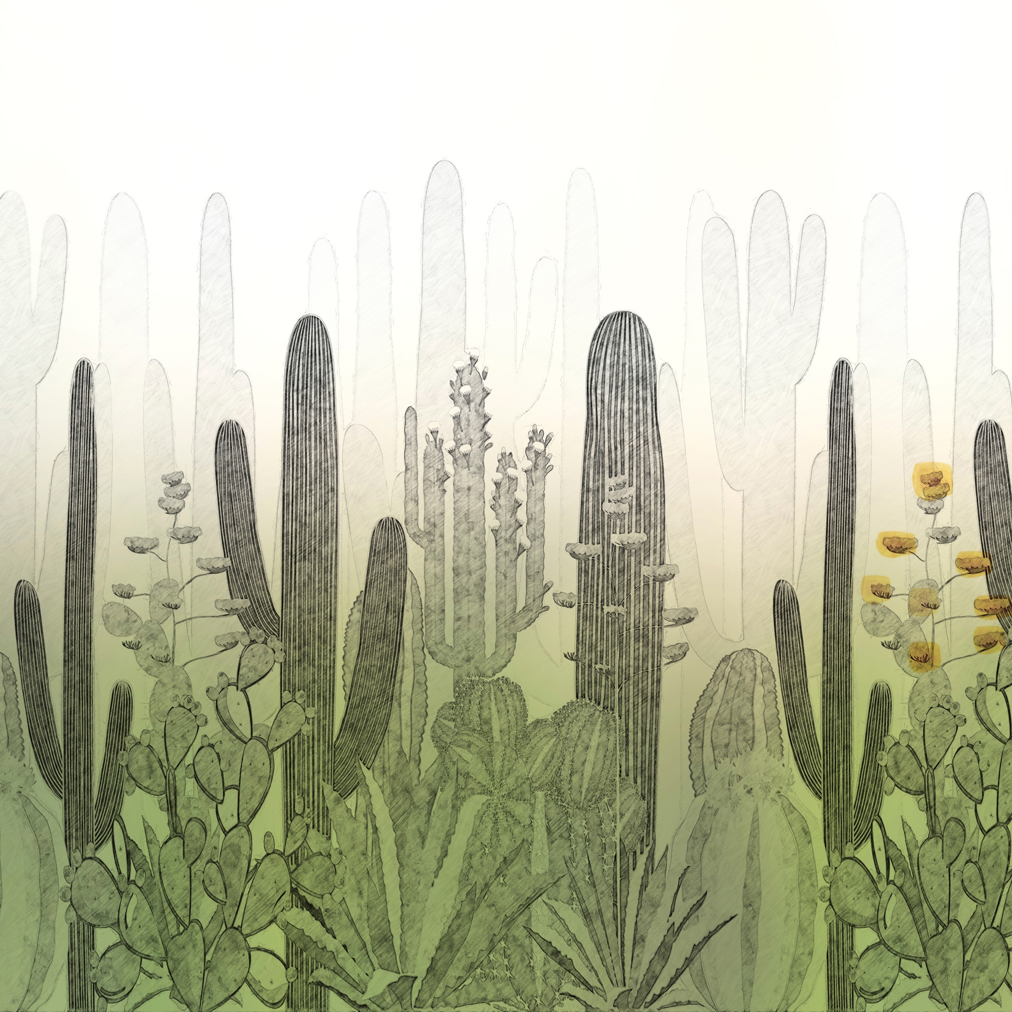 Display product Tierras from manufacturer GLAMORA
