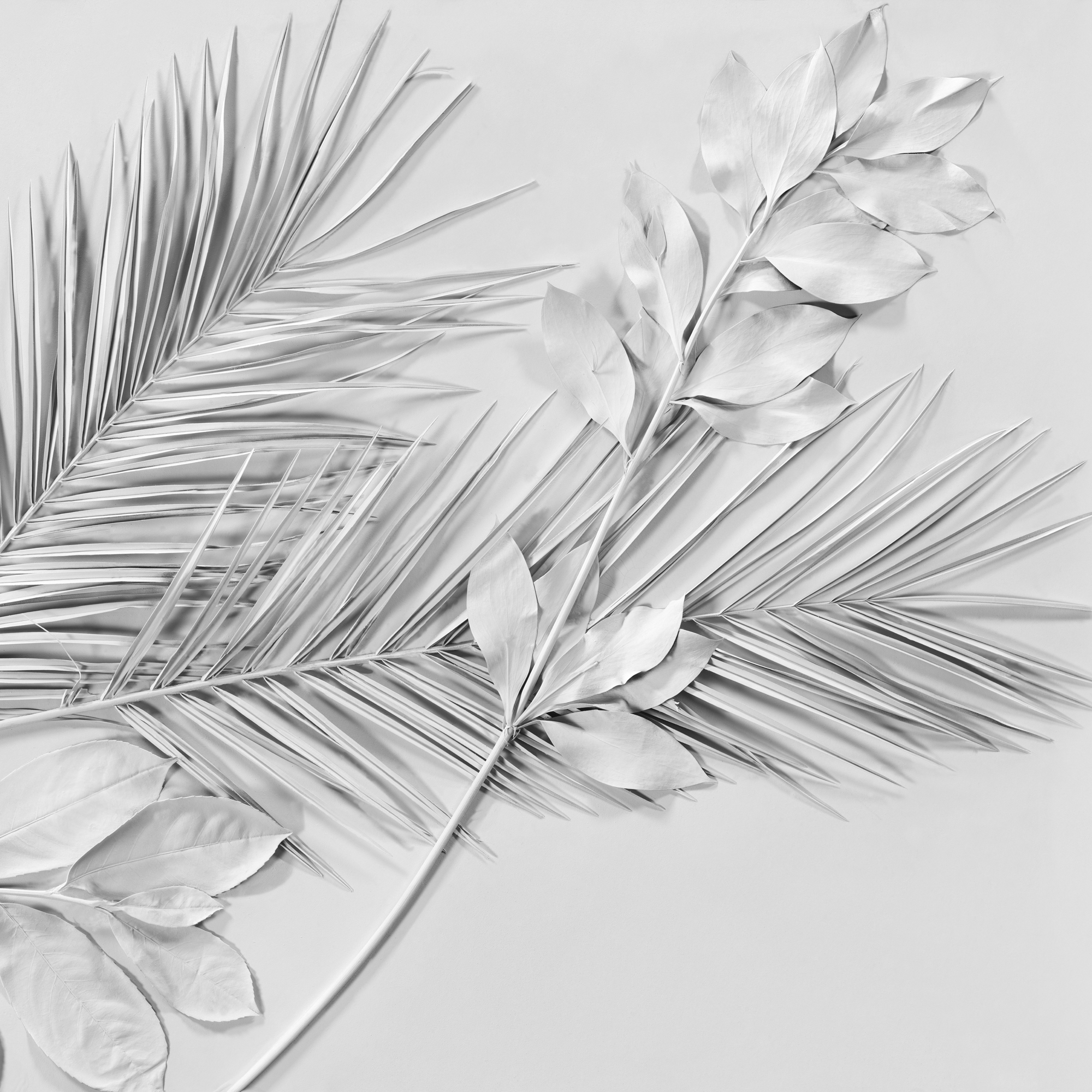 Produkt Eternity des Herstellers GLAMORA anzeigen