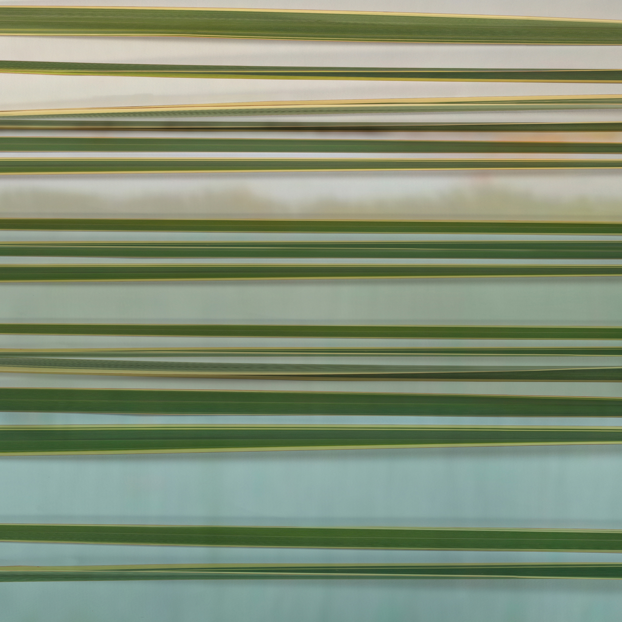 Mostra il prodotto Binary del produttore GLAMORA