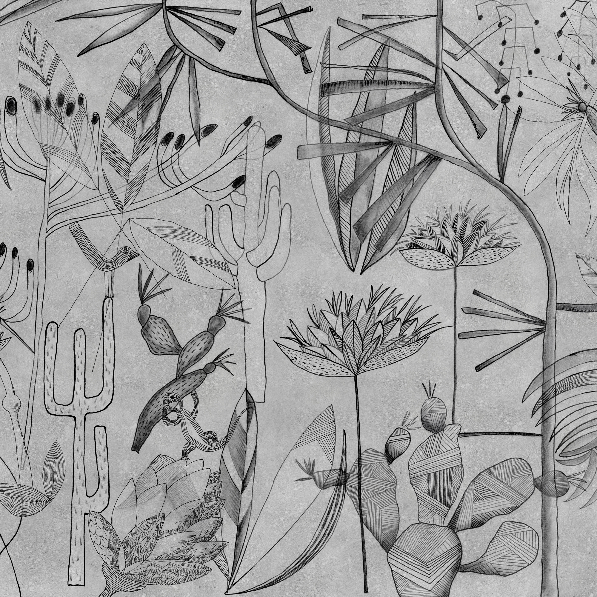 Display product Mandragola from manufacturer GLAMORA