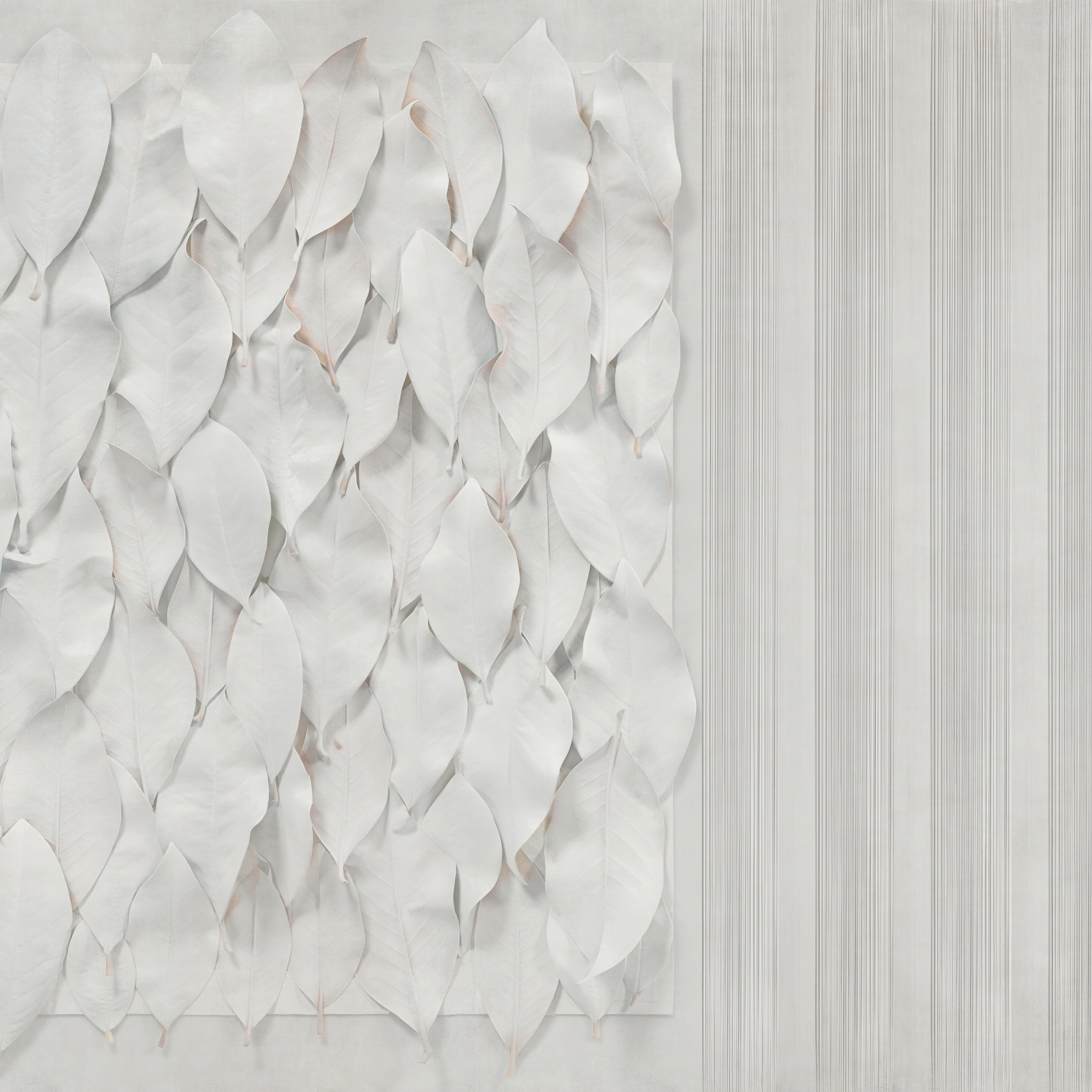 Display product Musa from manufacturer GLAMORA