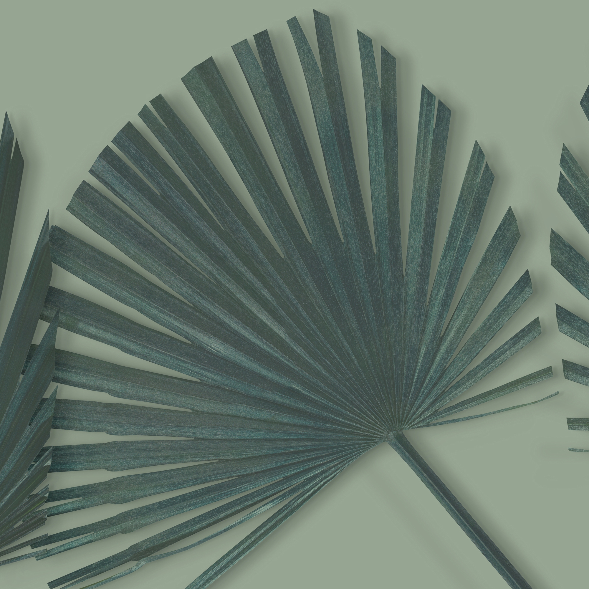 Display product Poetica from manufacturer GLAMORA