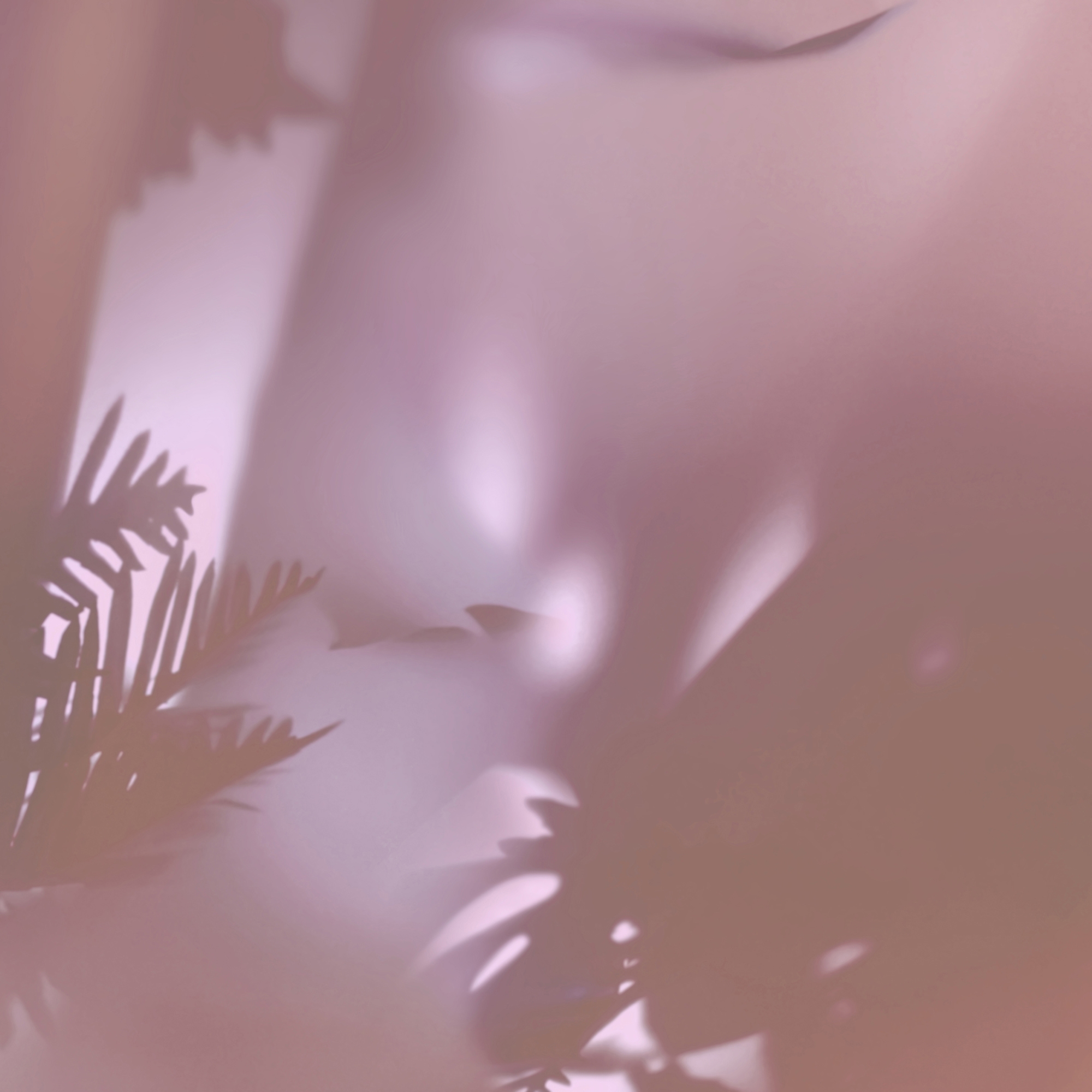 Zephyr