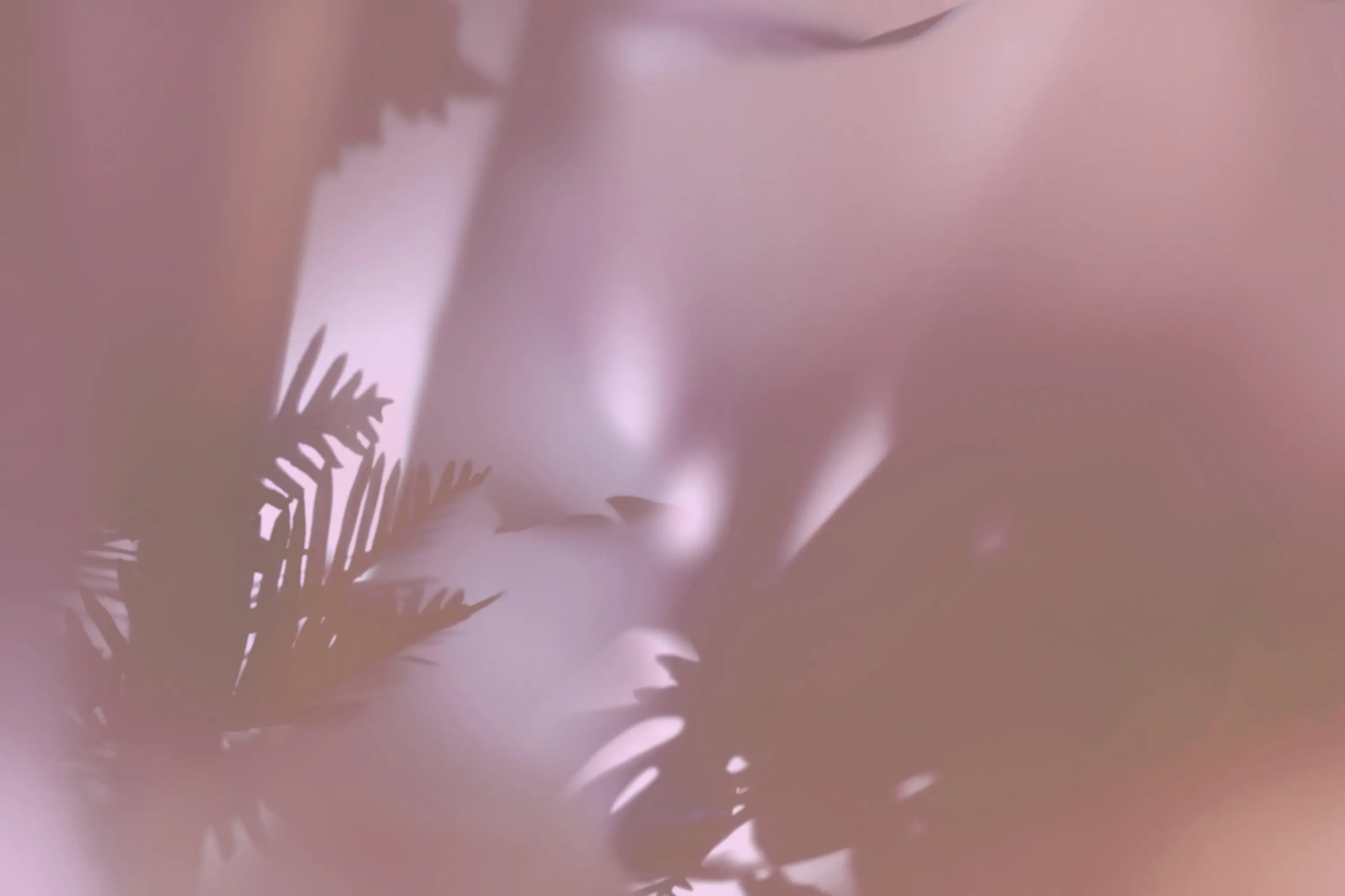GLAMORA - Zephyr