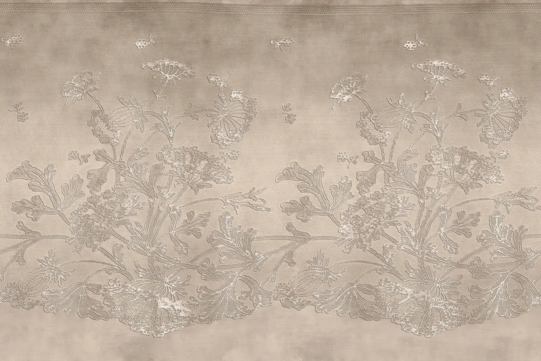 GLAMORA - Lace
