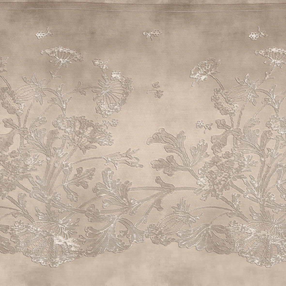 Display product Lace from manufacturer GLAMORA