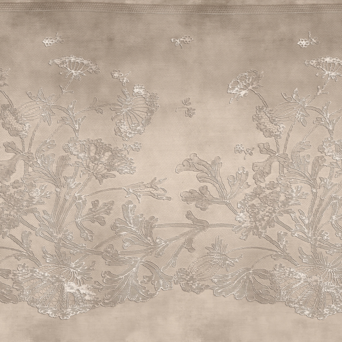 Lace