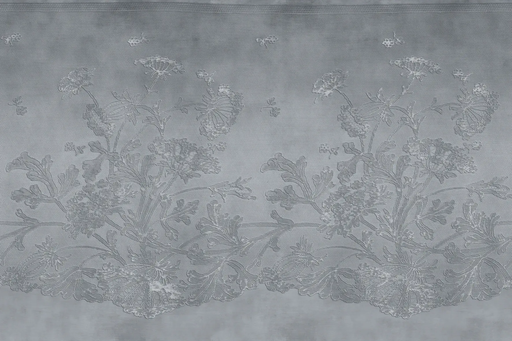 GLAMORA - Lace