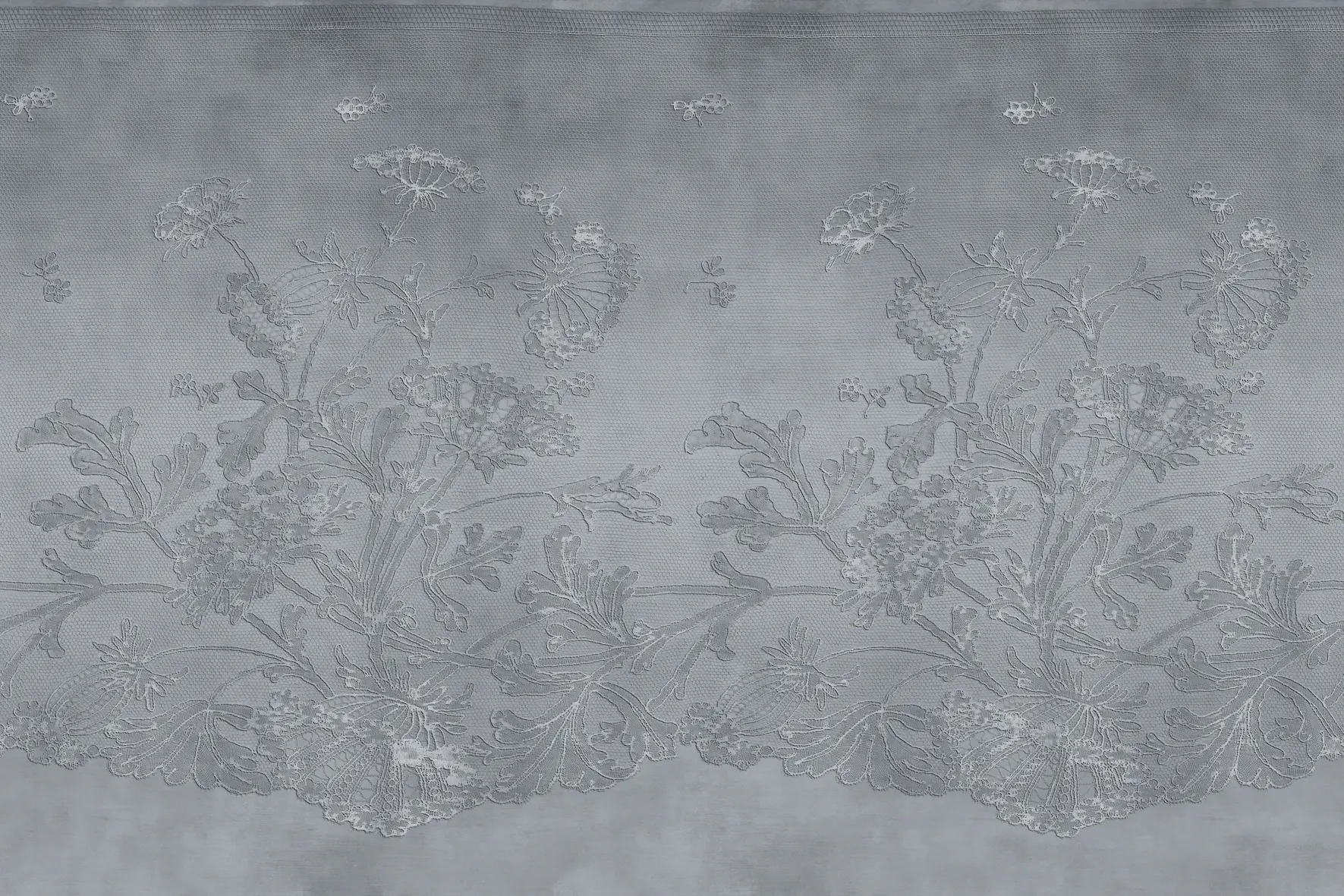 GLAMORA - Lace