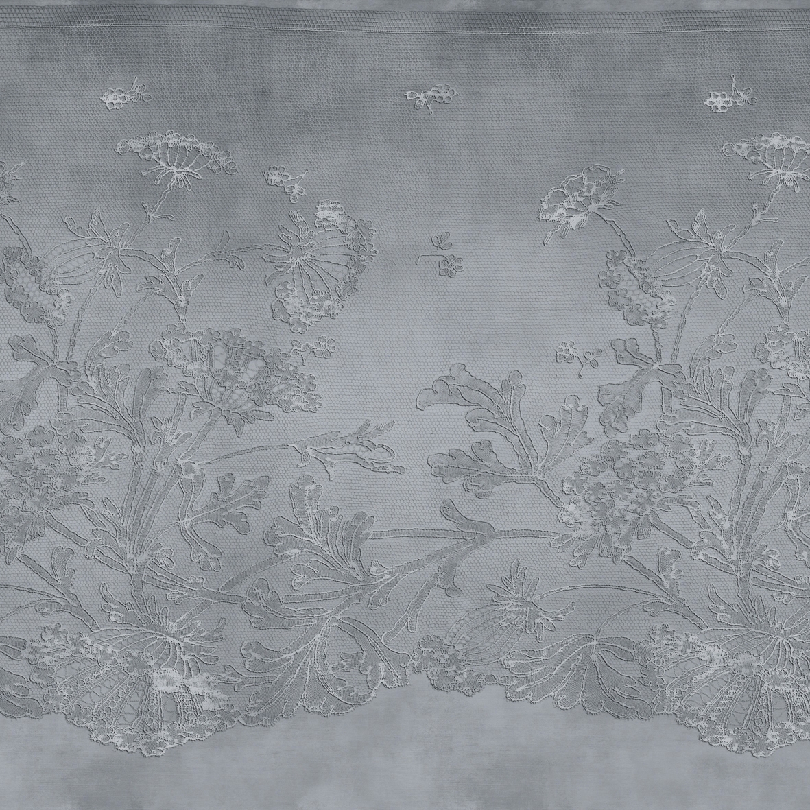 Mostra il prodotto Lace del produttore GLAMORA