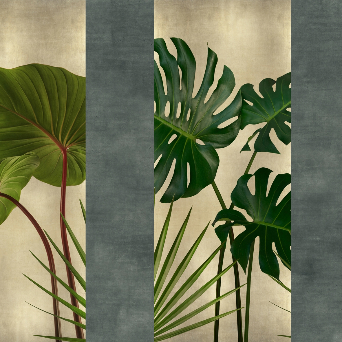 Flora