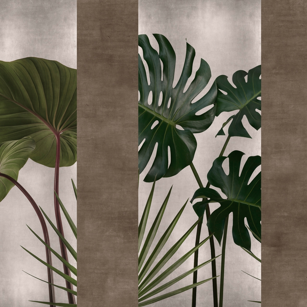 Flora