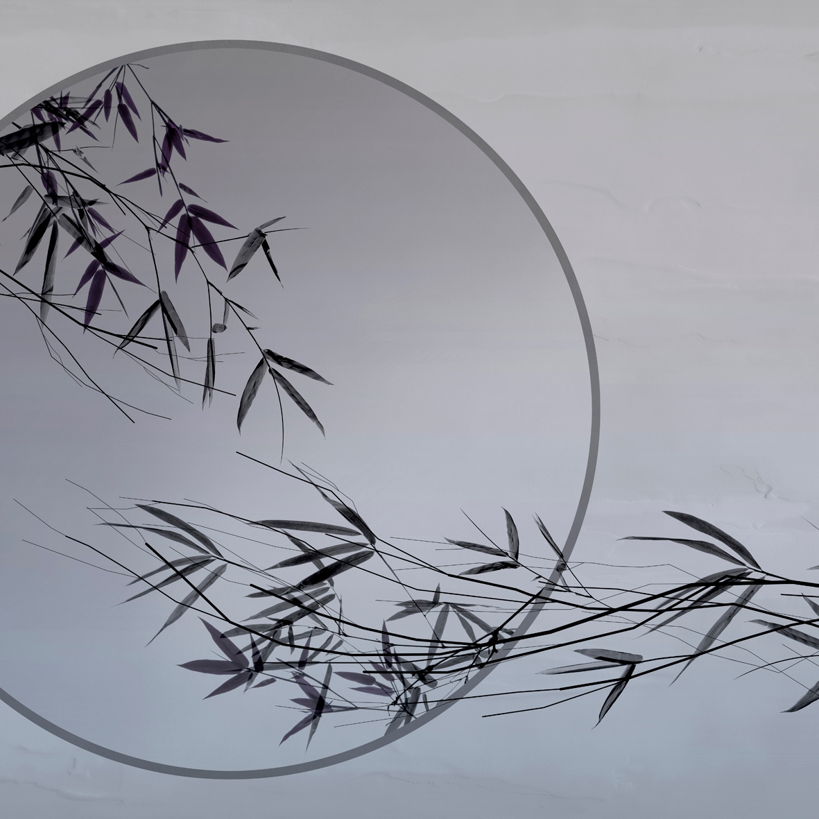 Display product Alba from manufacturer GLAMORA