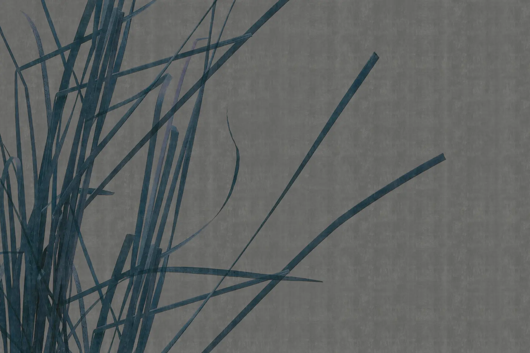 GLAMORA - Contemplation