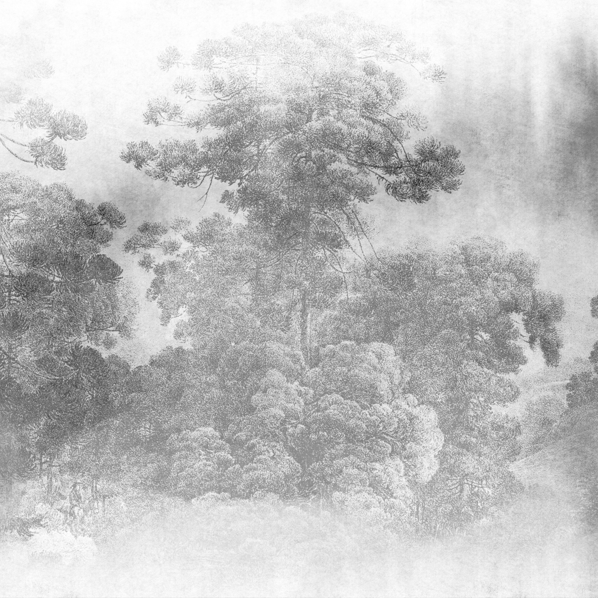 Segreto