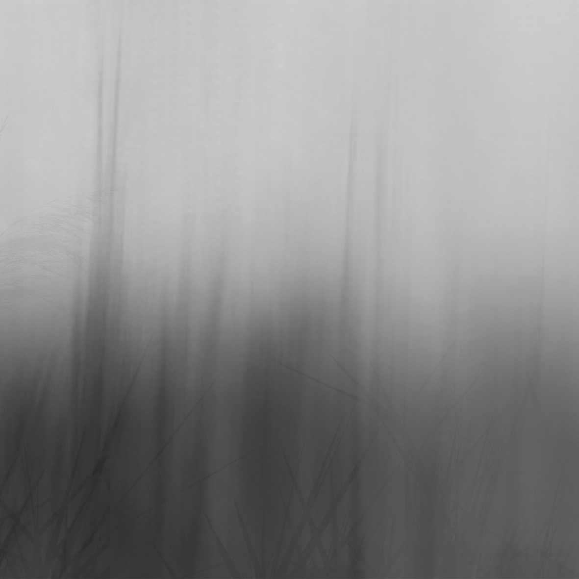 Whisper