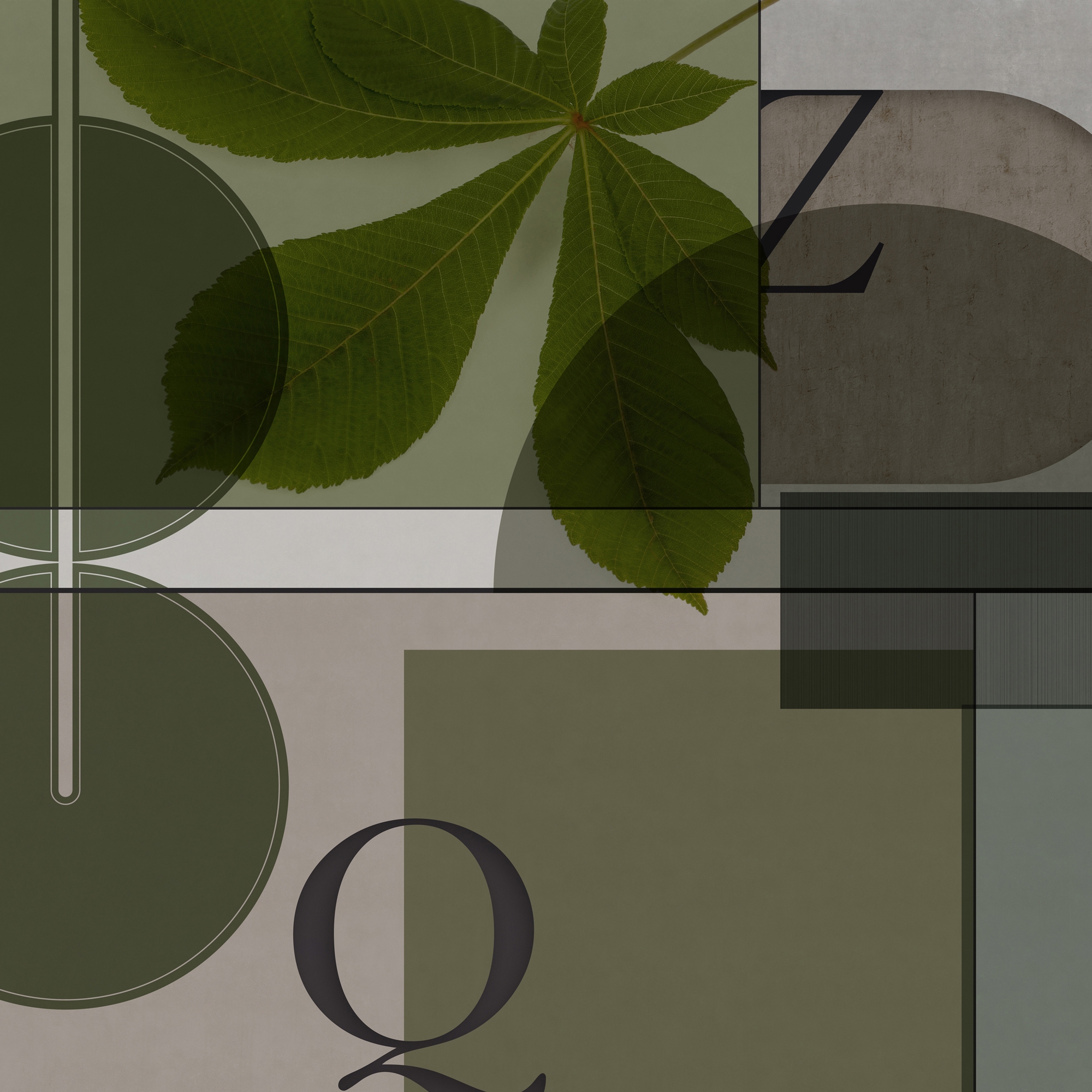 Display product Armilla from manufacturer GLAMORA