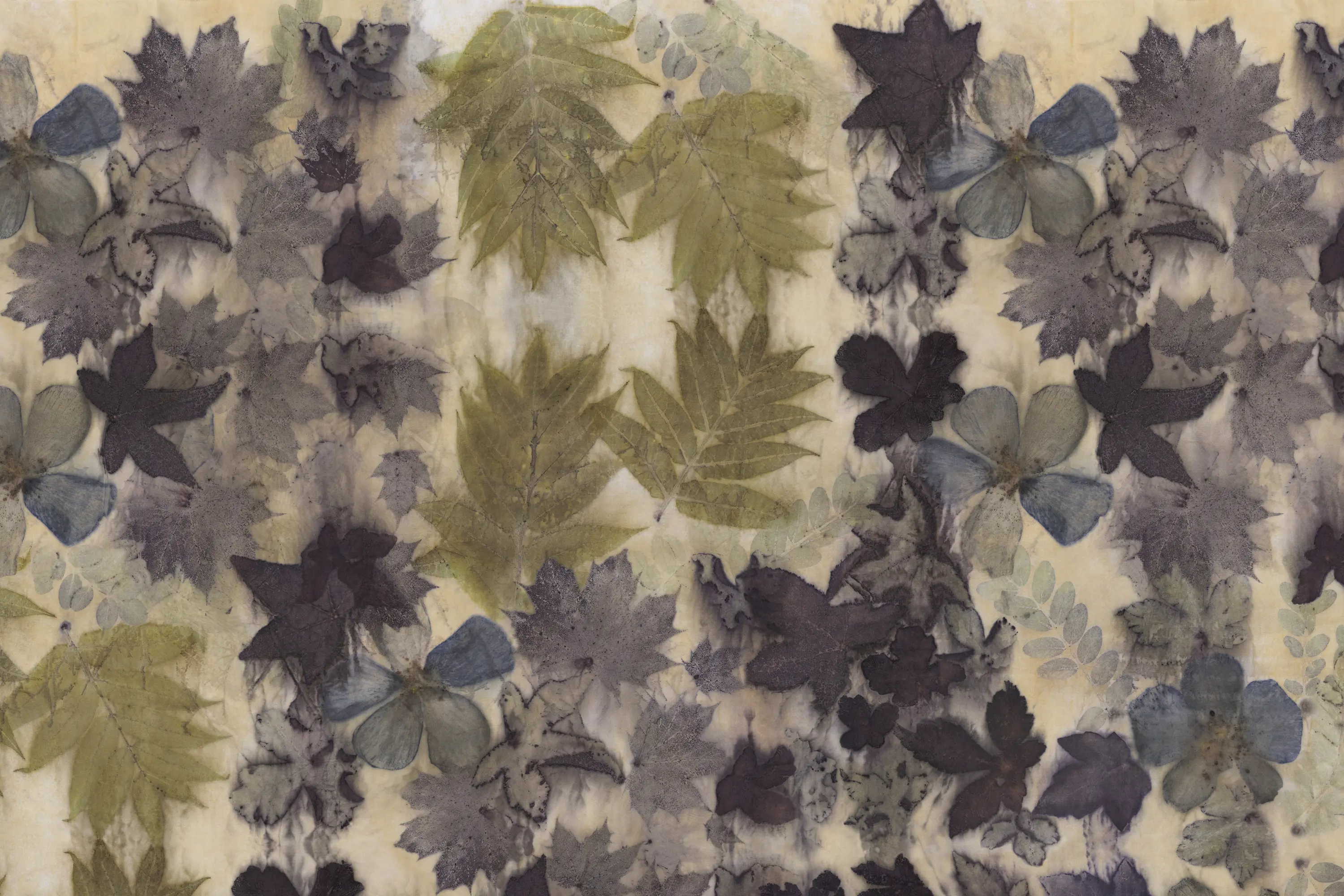 GLAMORA - Folia