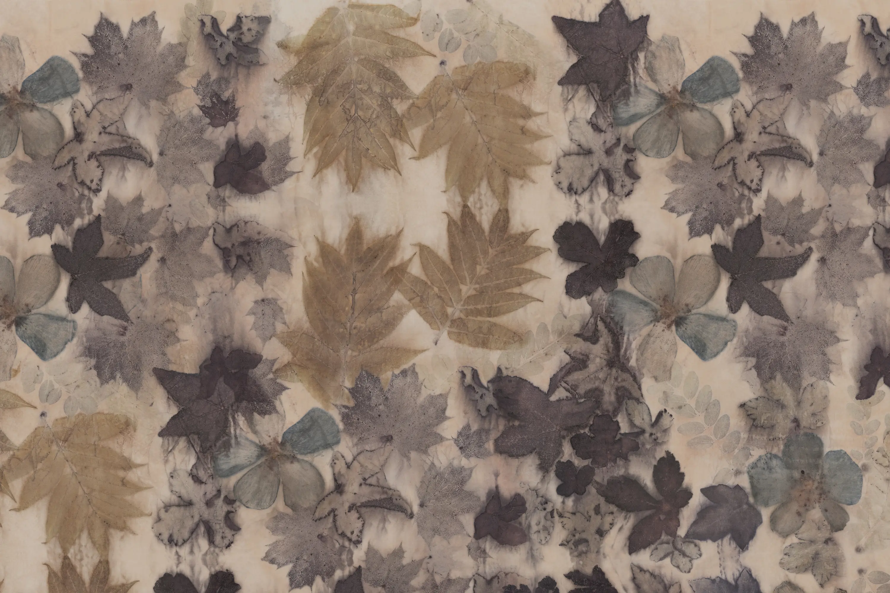 GLAMORA - Folia