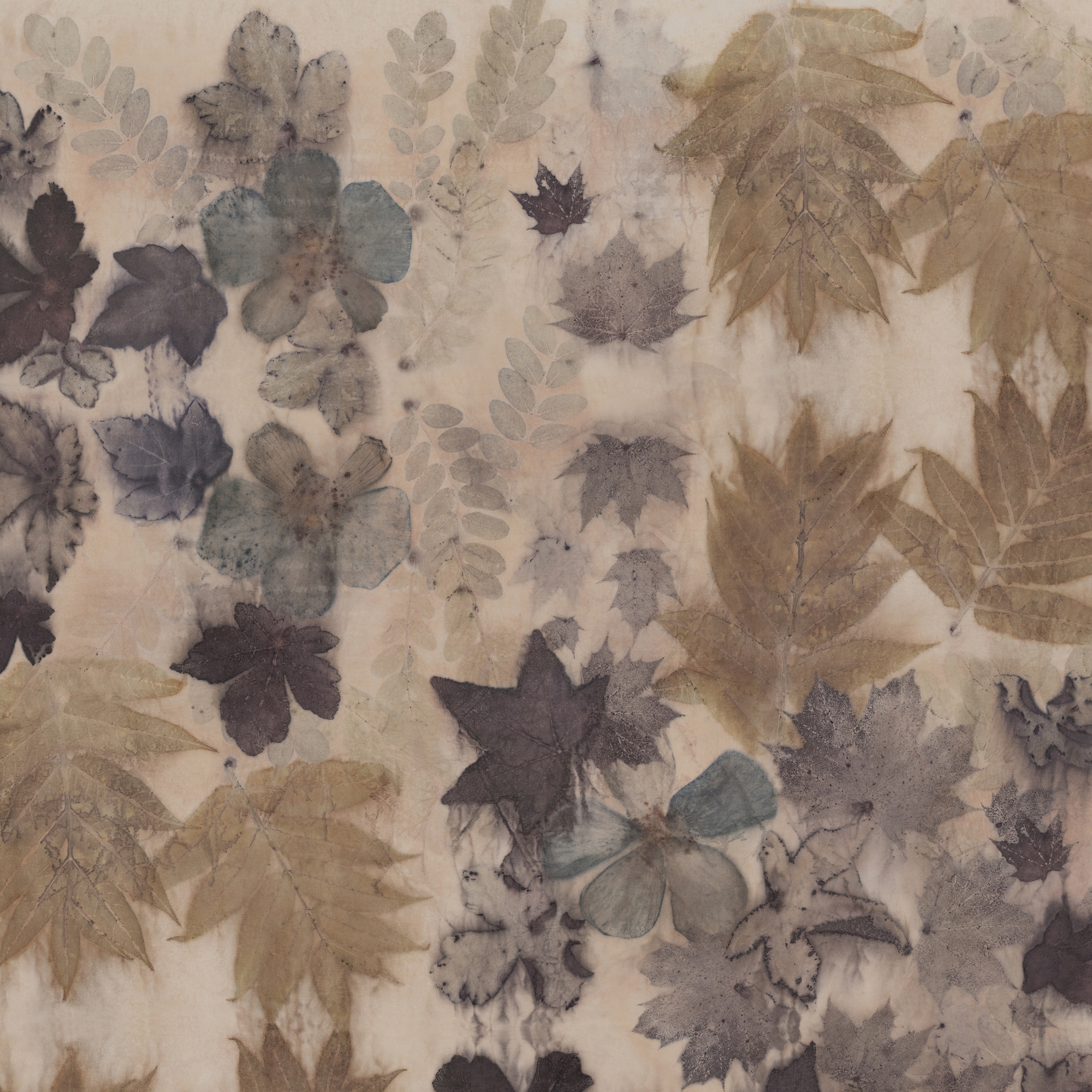 Mostra il prodotto Folia del produttore GLAMORA
