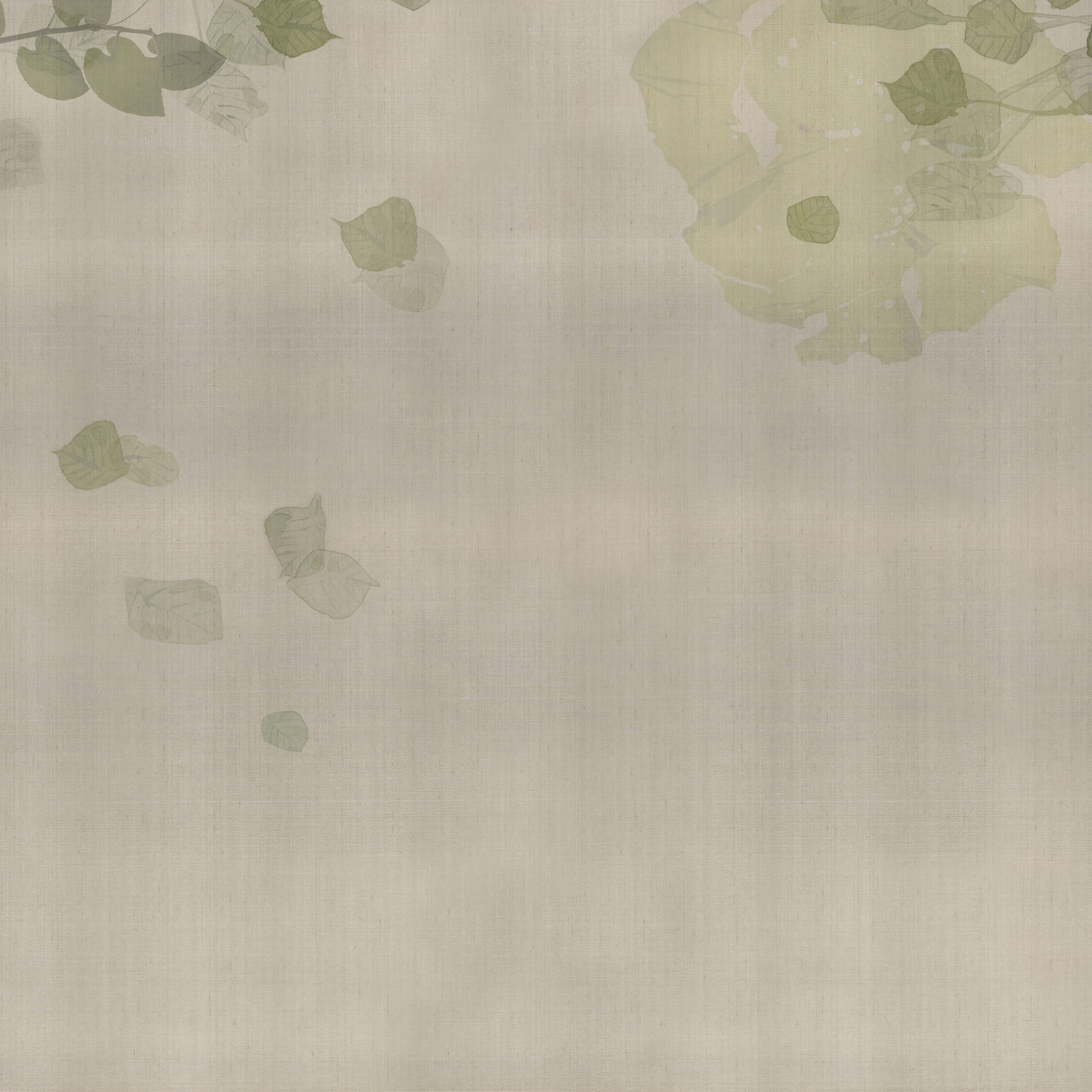 Hanami