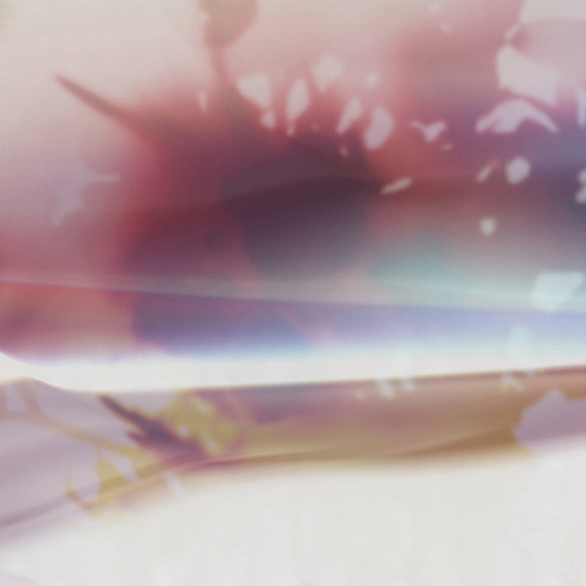 Display product Lucid Dream from manufacturer GLAMORA