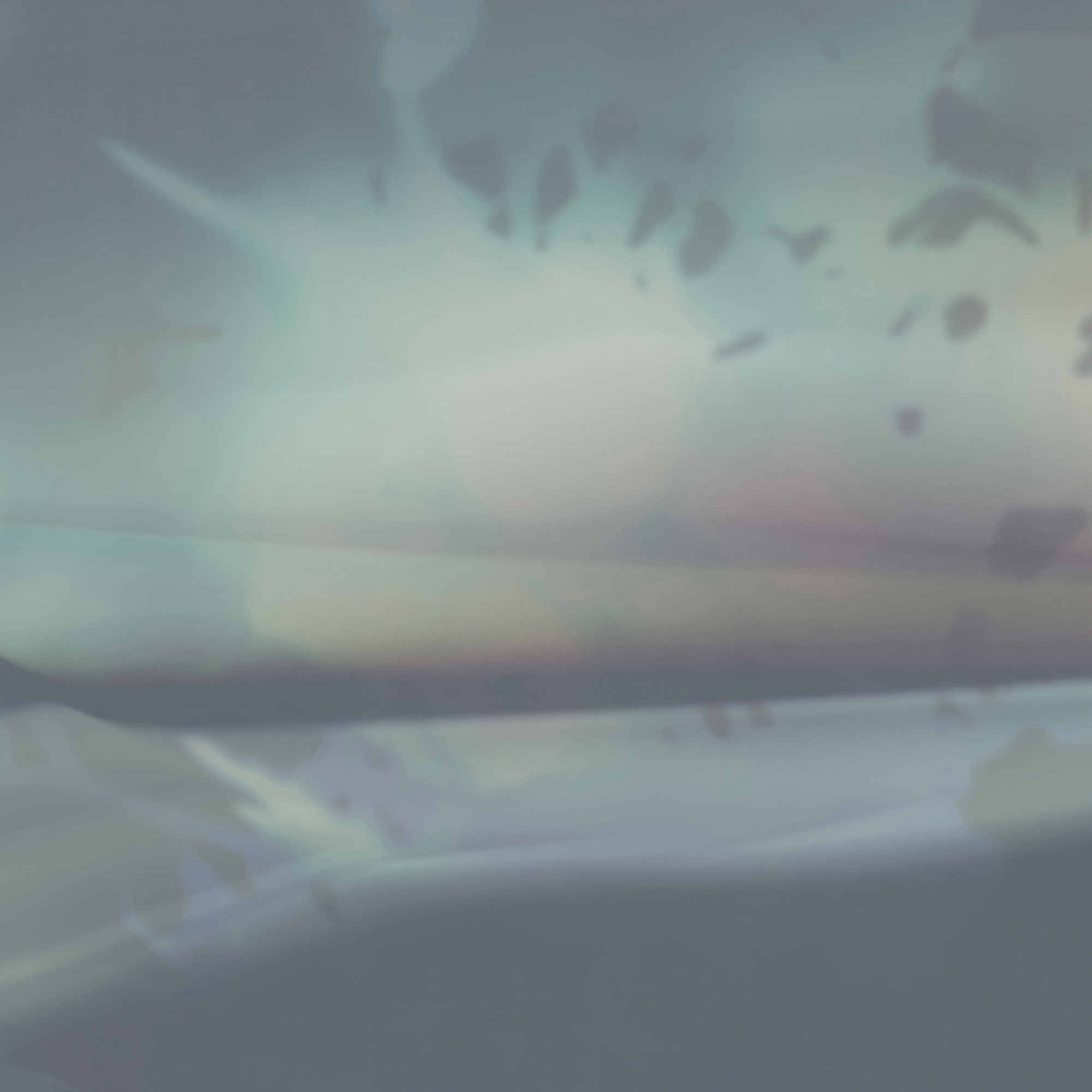 Lucid Dream