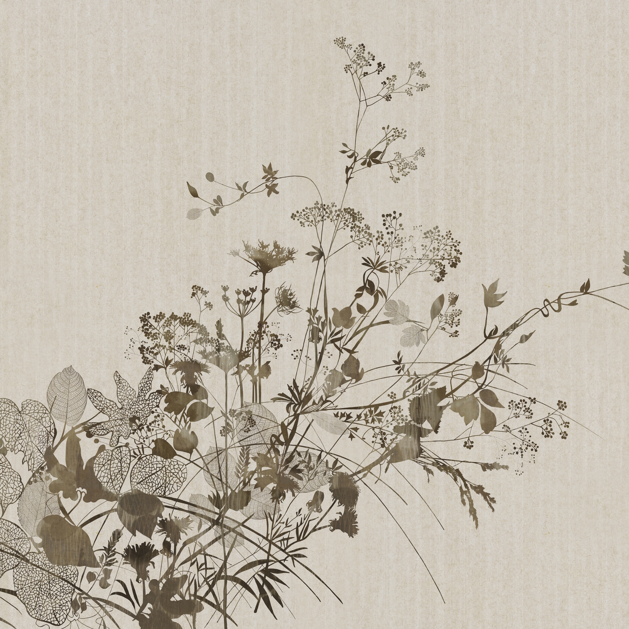 Display product Seika from manufacturer GLAMORA