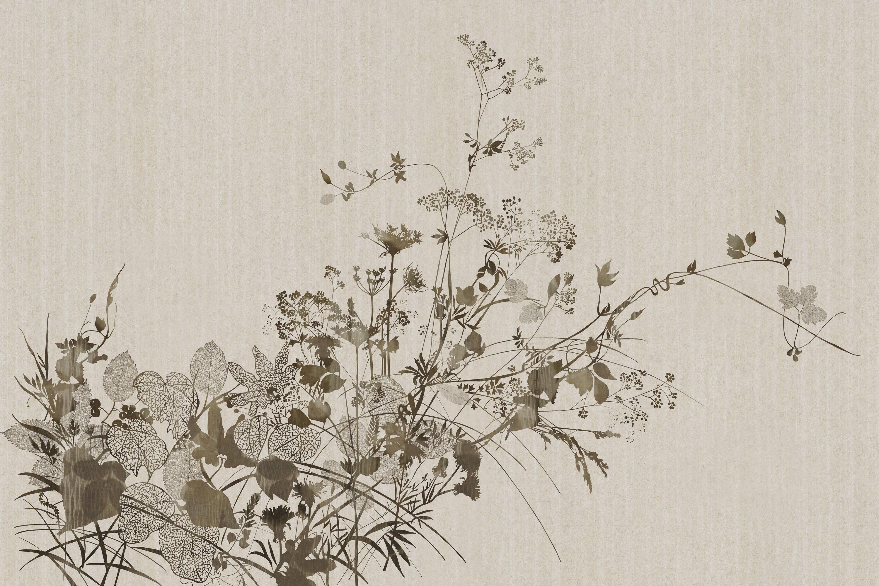 Display product Seika from manufacturer GLAMORA