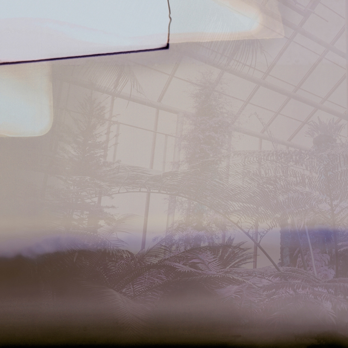 Greenhouse