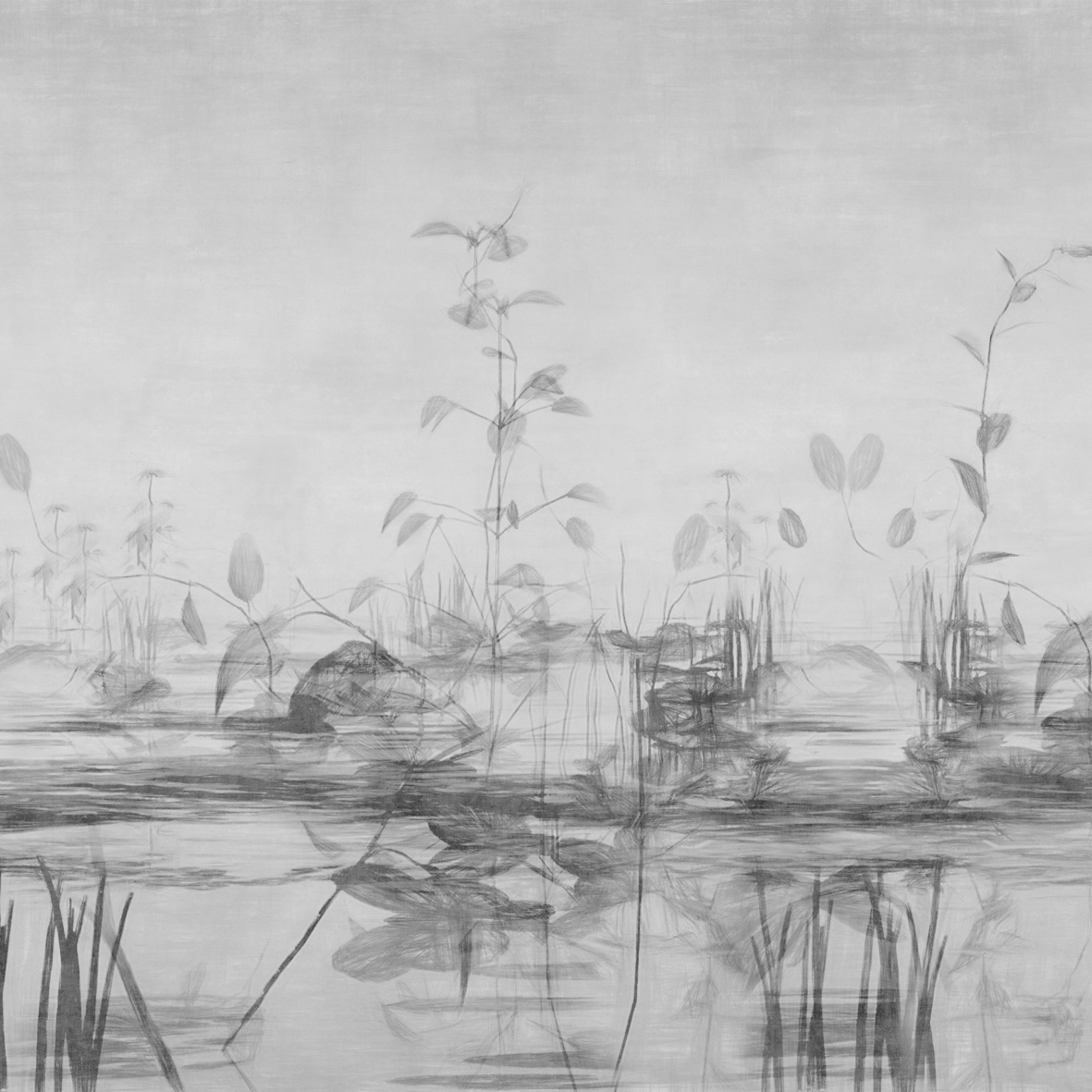 Stillness