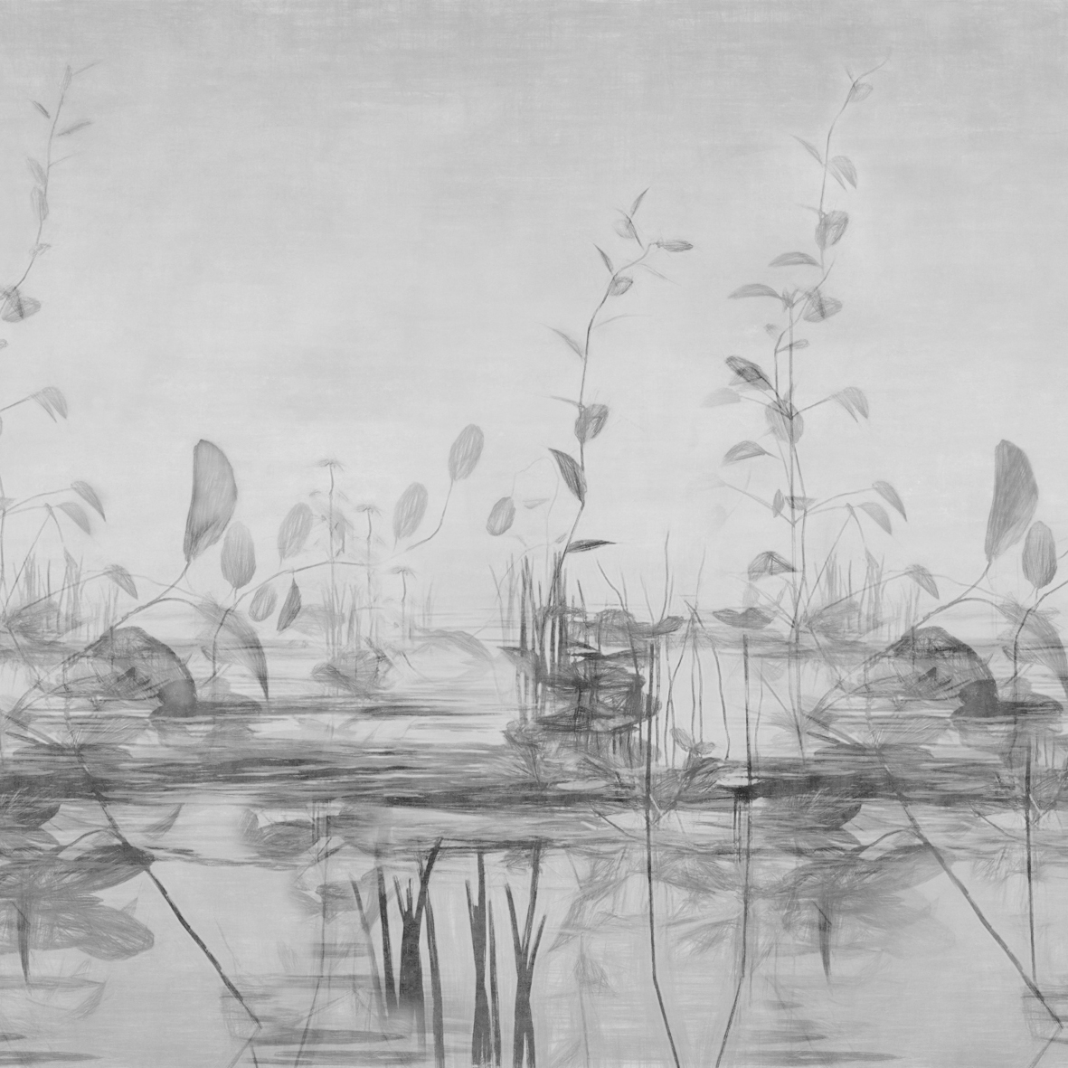 Stillness