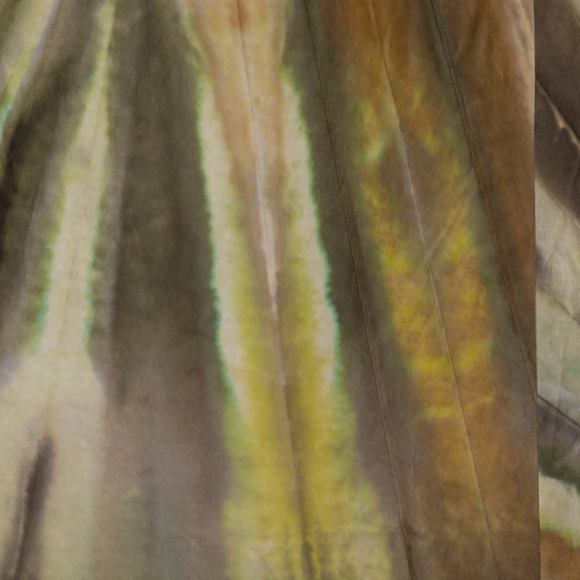 Display product Agave from manufacturer GLAMORA