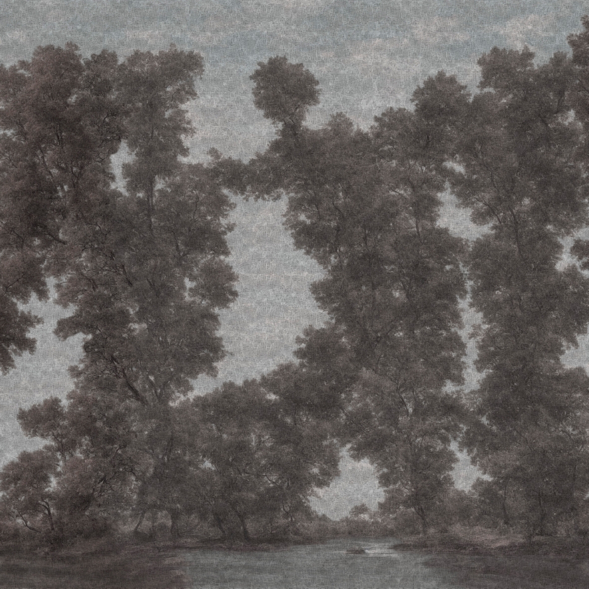 L’isola degli alberi