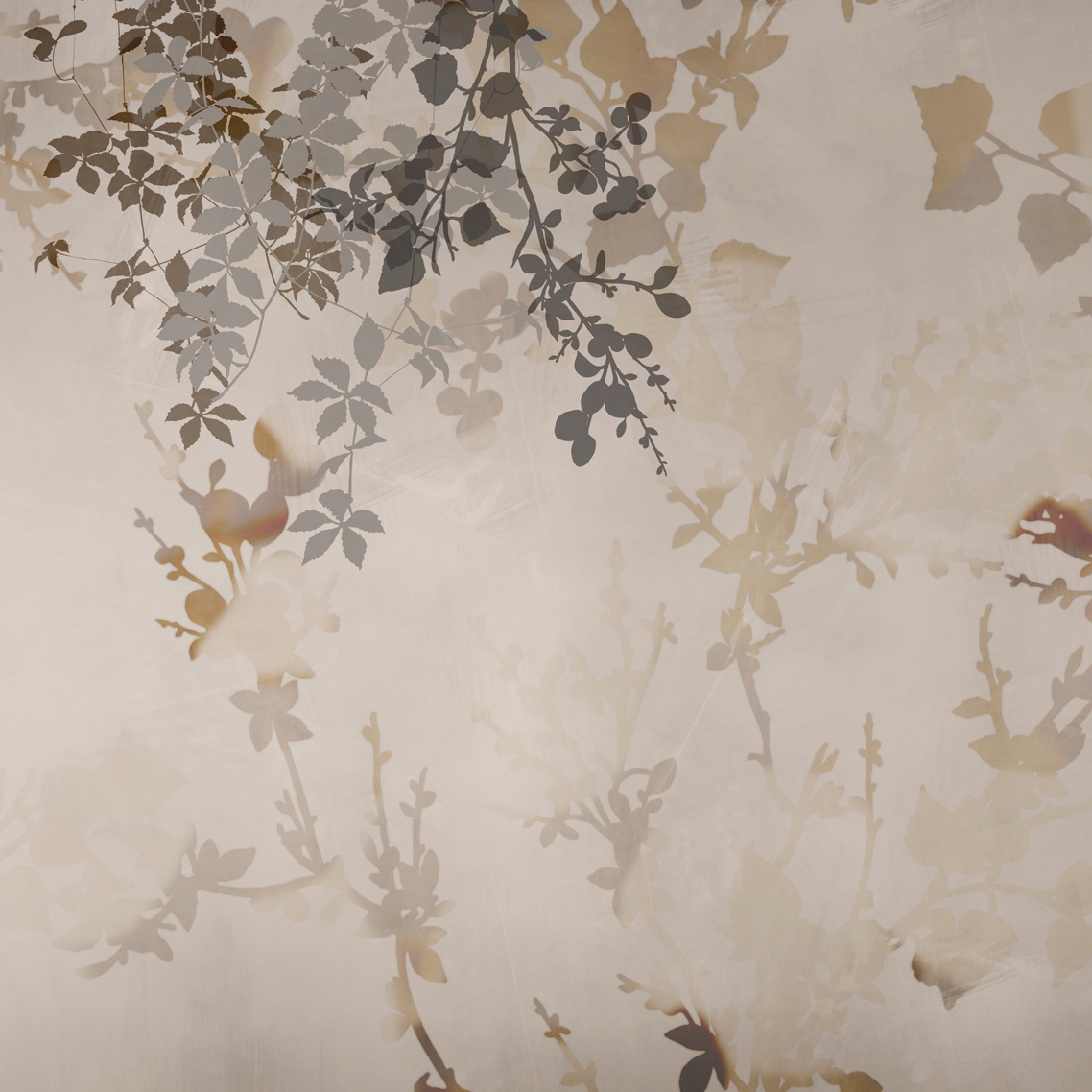 Display product Ampelo from manufacturer GLAMORA