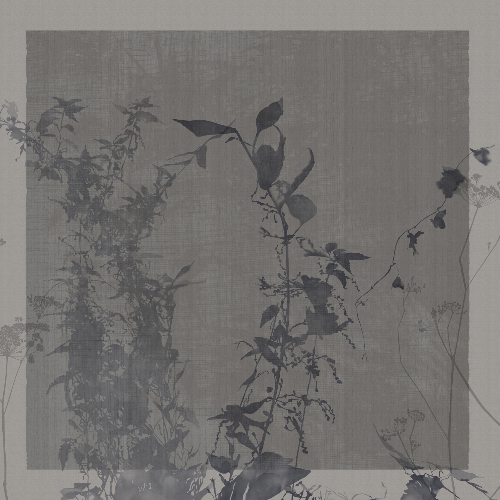 Display product Arbor Vitae from manufacturer GLAMORA