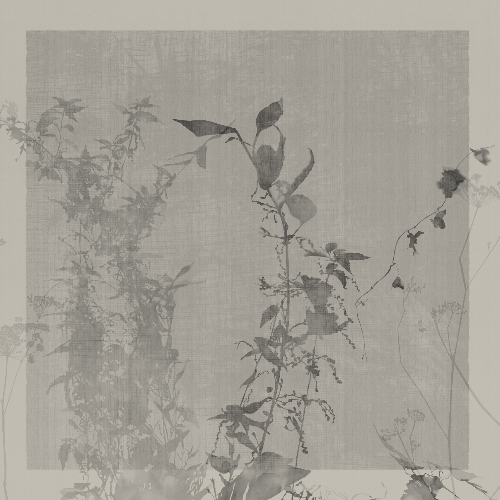 Arbor Vitae