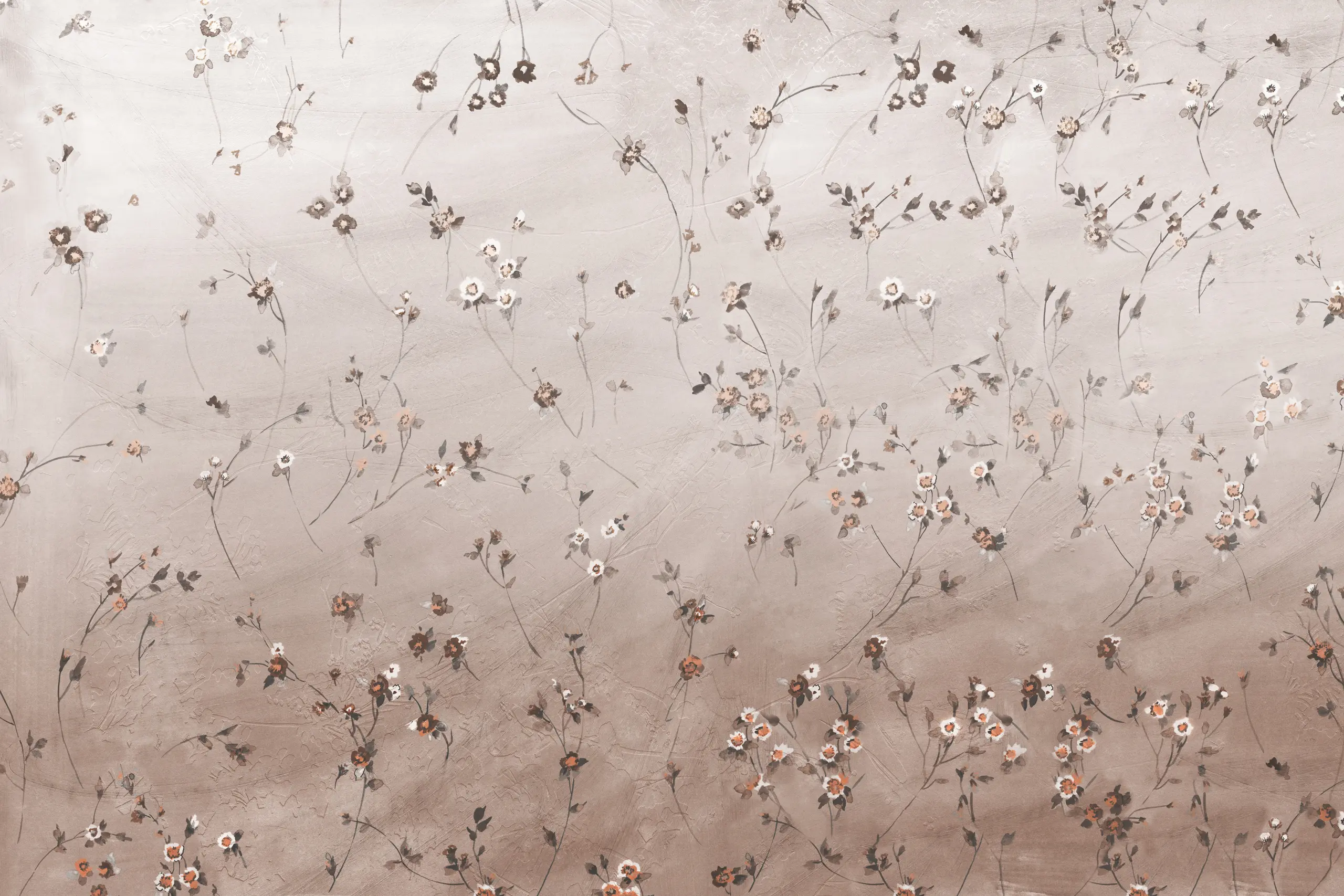 GLAMORA - Herbaria