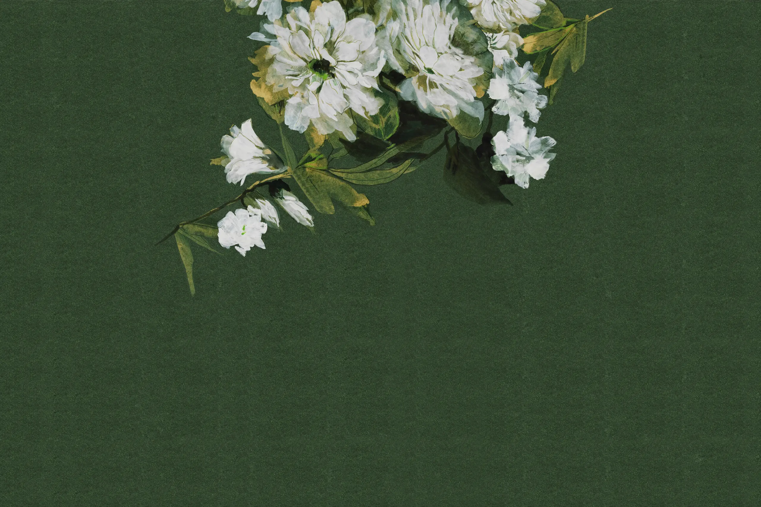 GLAMORA - Rosengarten