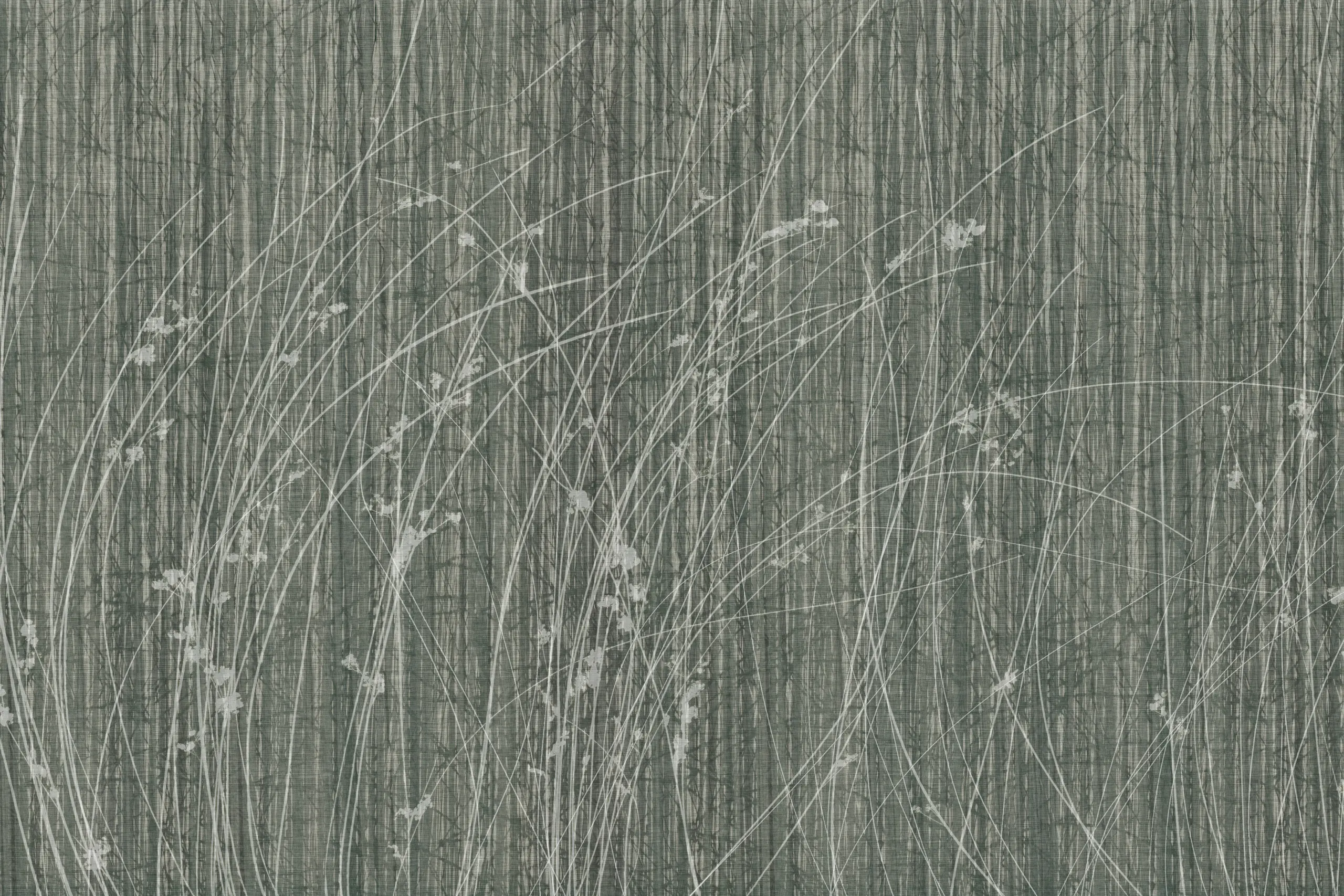 GLAMORA - Sideritis