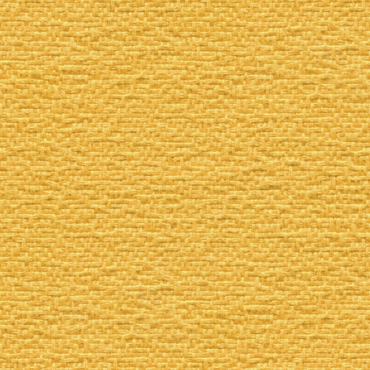 Carlita MD081A01