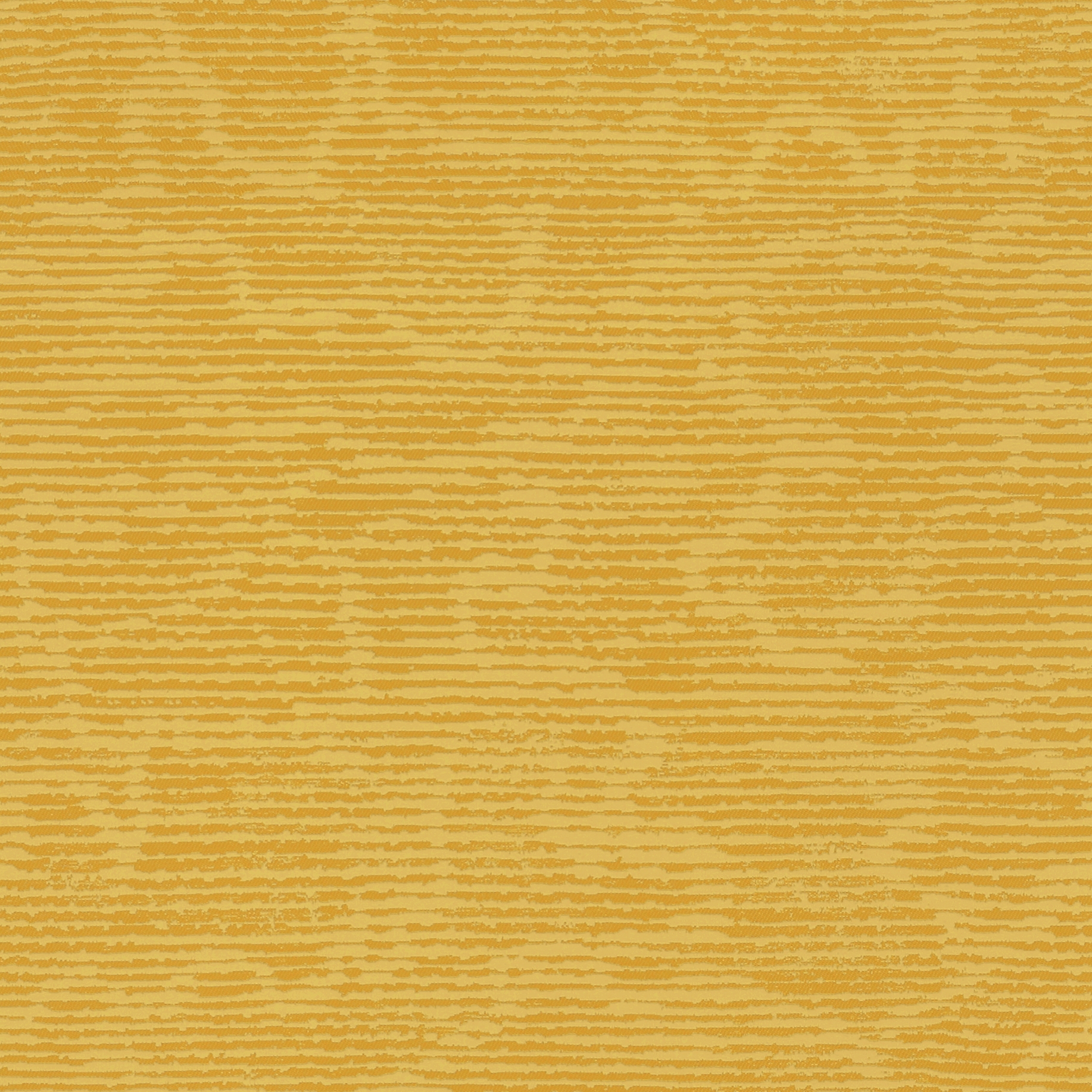 Tani MD128D01