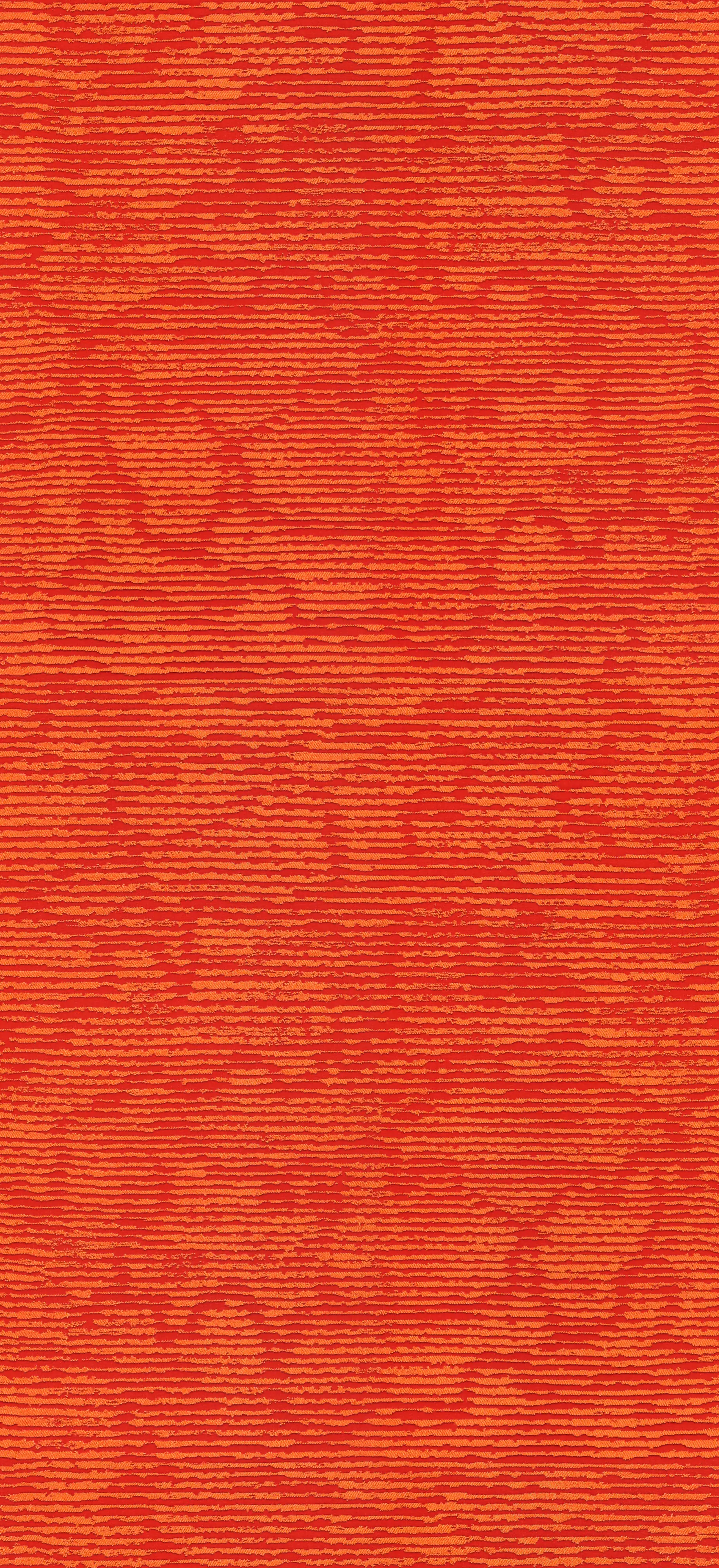 Backhausen - Tani MD128D02