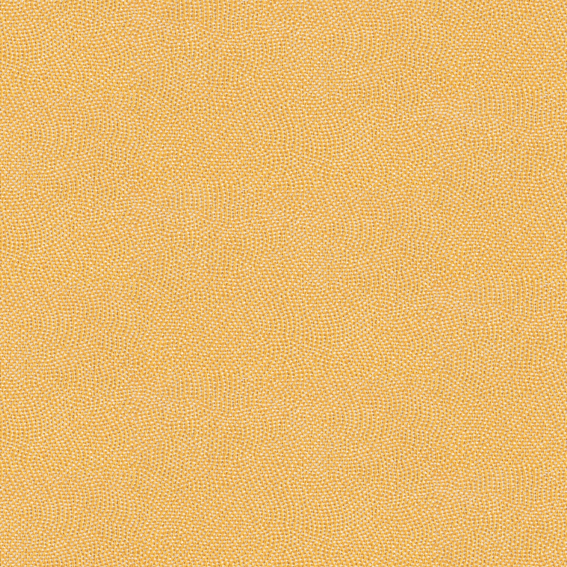 Ten MD154B01