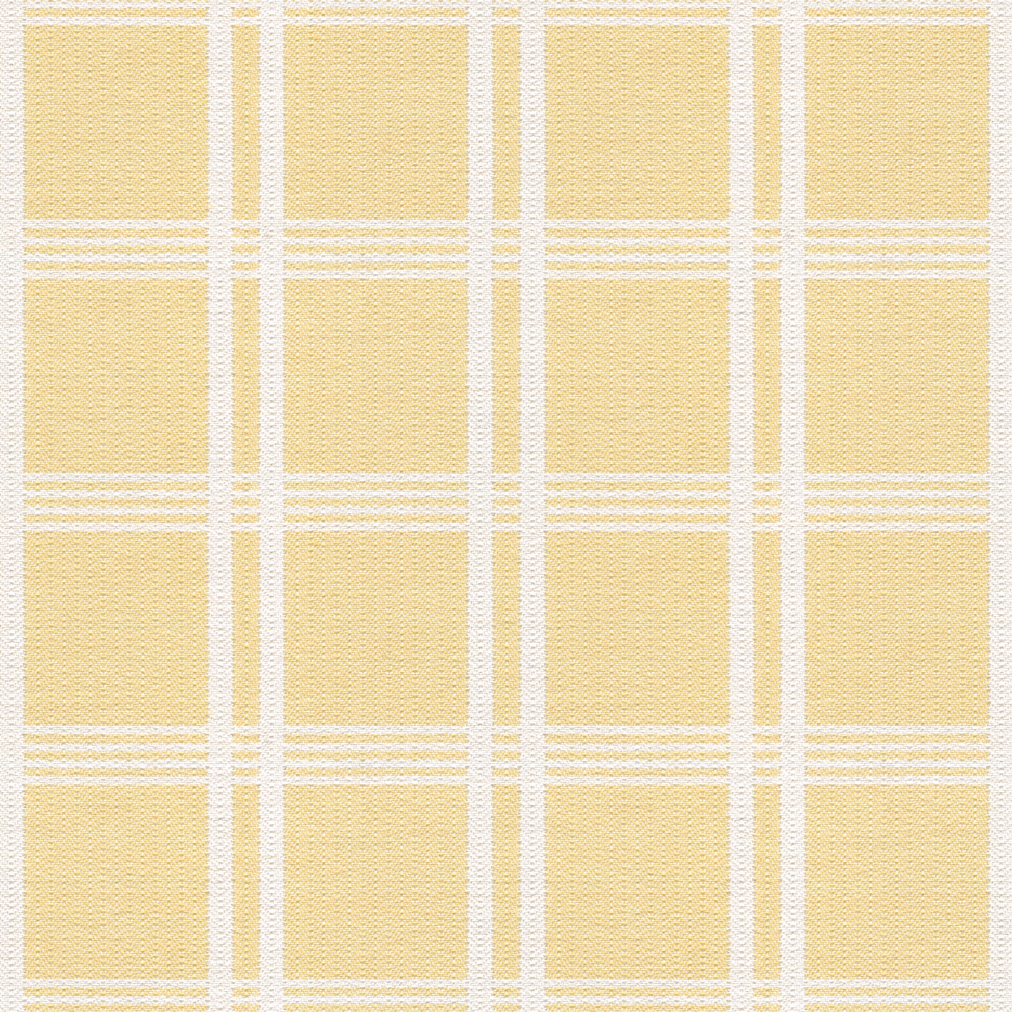William MD218A01