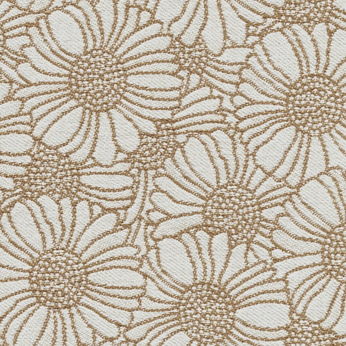 Orakelblume MD445A10