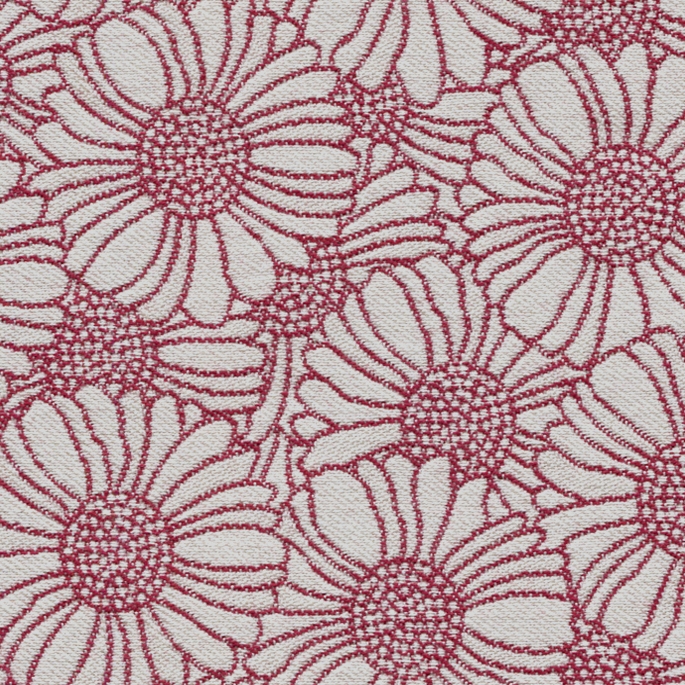 Orakelblume MD445A13
