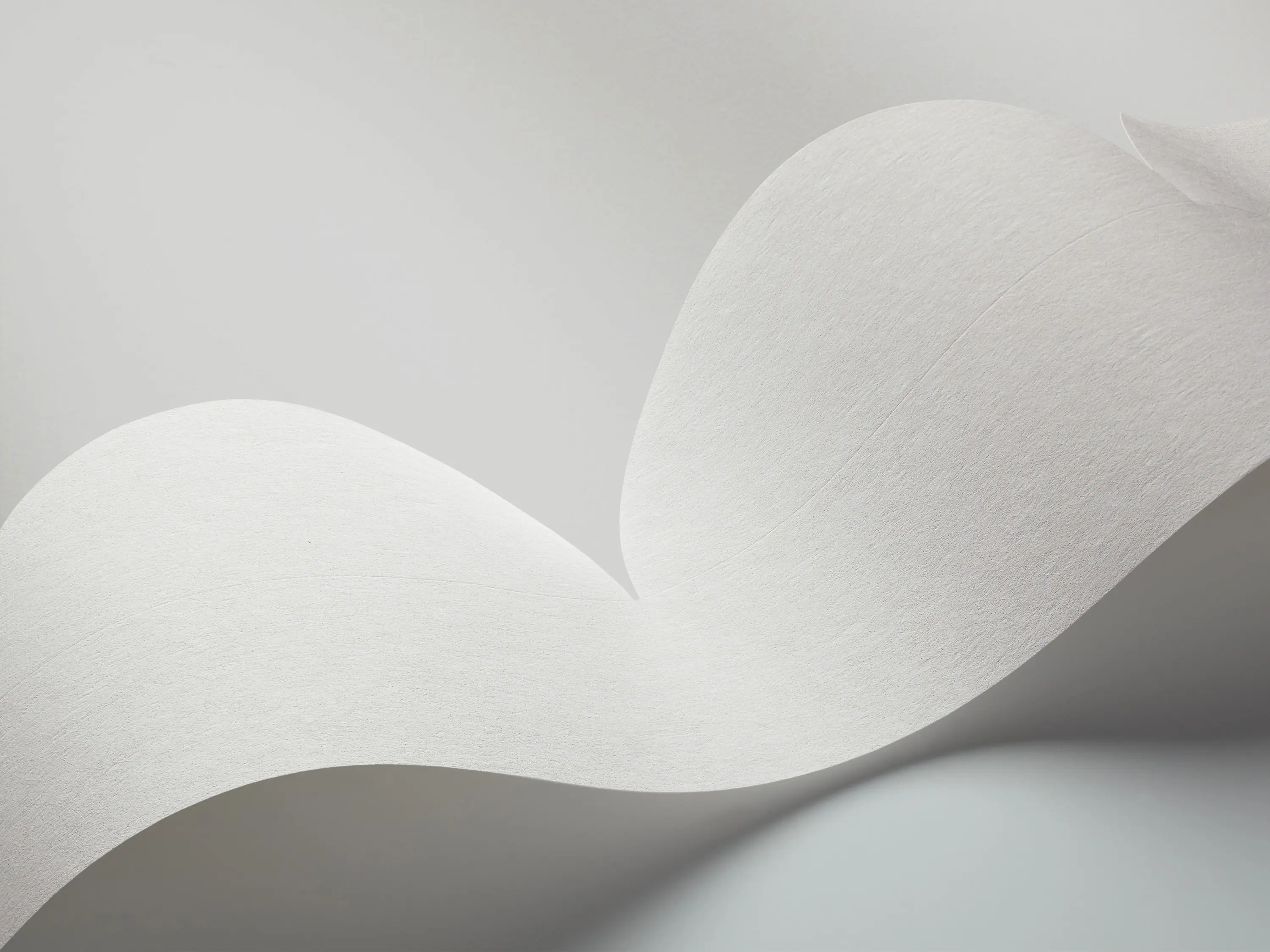 Borastapeter - Front | Cut Edge