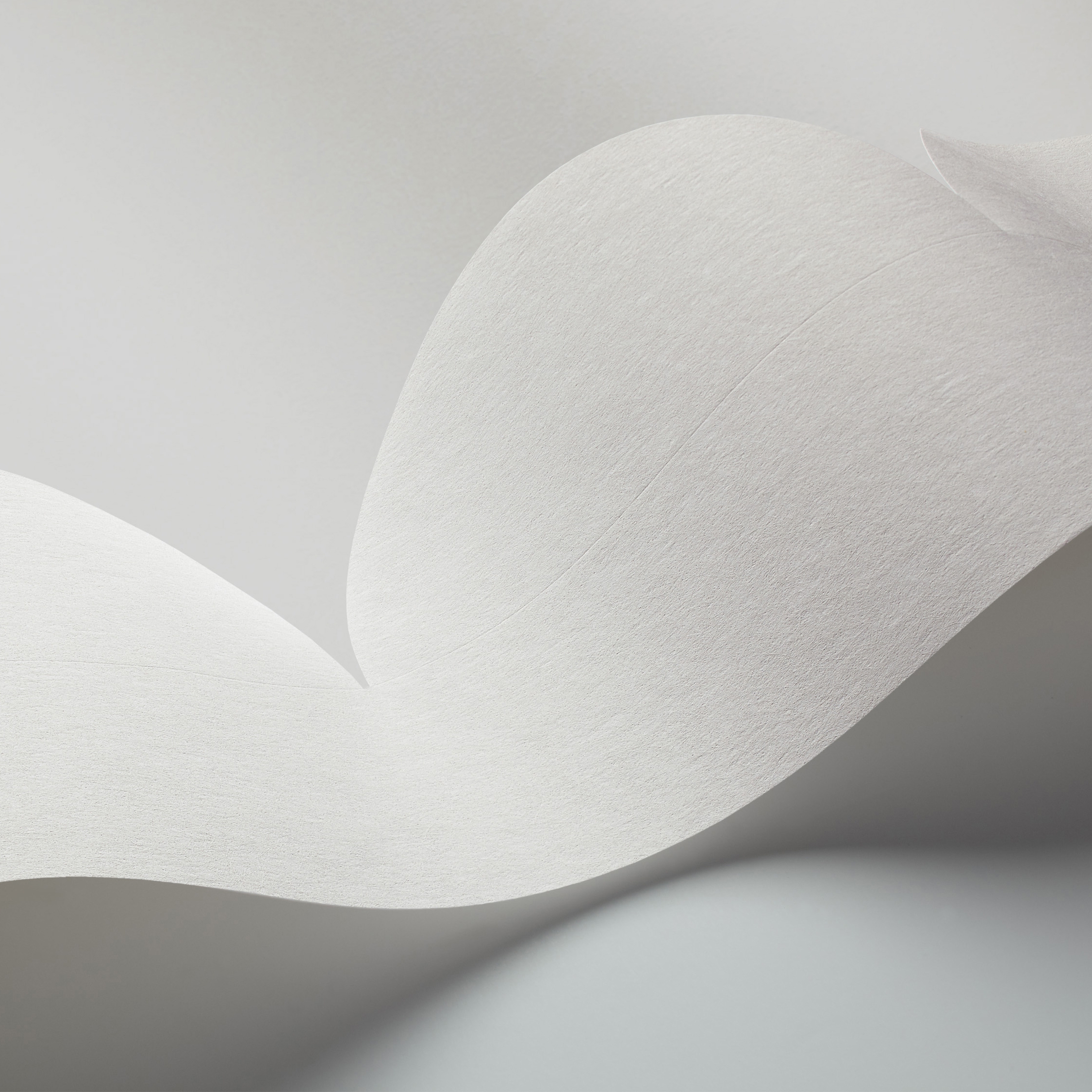 Mostrar el producto Front | Cut Edge del fabricante Borastapeter